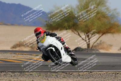 media/Nov-05-2022-SoCal Trackdays (Sat) [[f8d9b725ab]]/Turn 4 Tree of Life (125pm)/